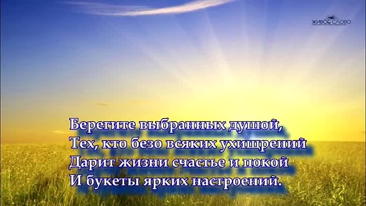 Очень трогательный стих Берегите выбранных душой Эсли Дильбази