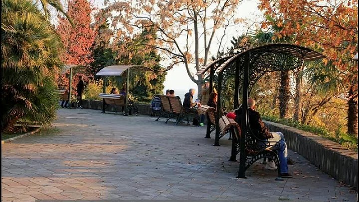 Красивые фото сочи осенью Красивые фото сочи осенью