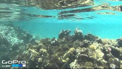 Marsa Alam - GoPro Summer - Limone. ➜