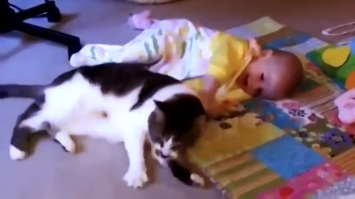 Кошка не даёт малышу заскучать