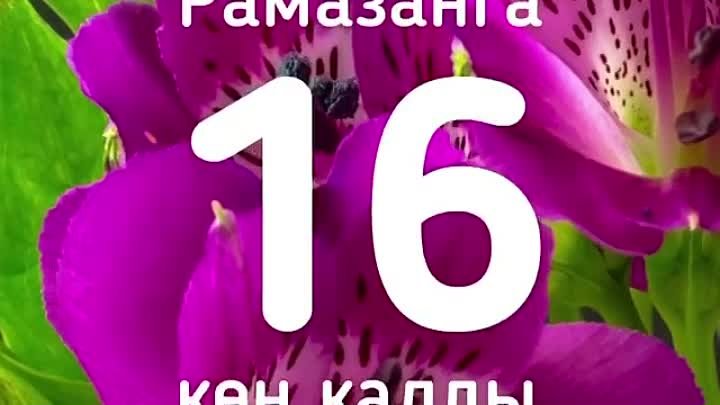 Изге Рамаданга 16 көн калды.