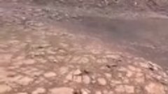 Первое видео со звуком и в цвете с Марса от зонда Perseveran...