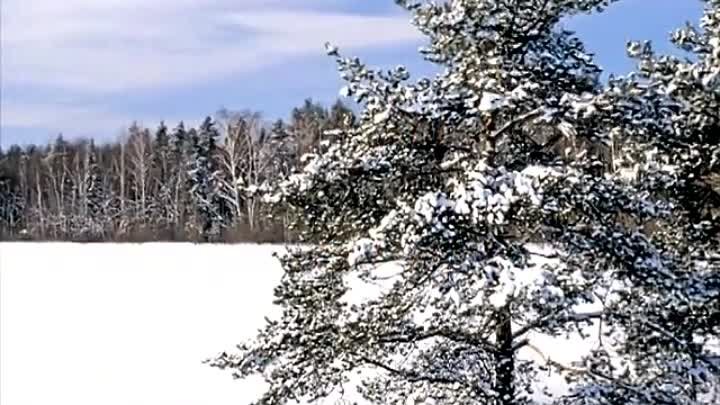 Снег отпусти мою любовь