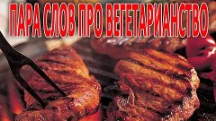 Пара слов про вегетарианство