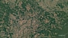 Our Forests Timelapse in Google Earth