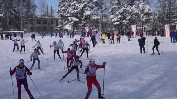 13г.Стадион Рекорд старт девочек 2001 г.р.и моложе. Автор Андрей Евс ...