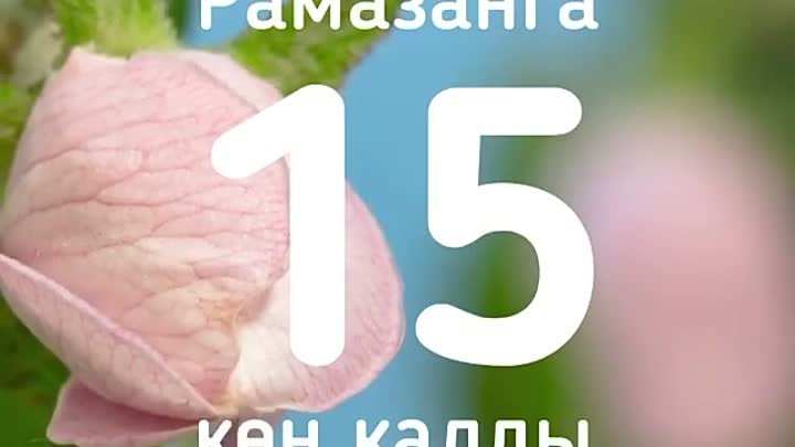 Изге  Рамаданга 15 көн калды.