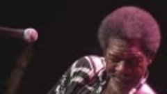 Low Down and Dirty - Luther Allison (Live)