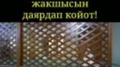 Баарыбызга ушундай бактылуулук насип кылсын,баарыбыз бактылу...