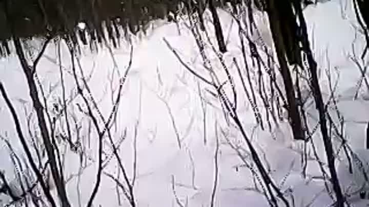 VID_20130209_150952