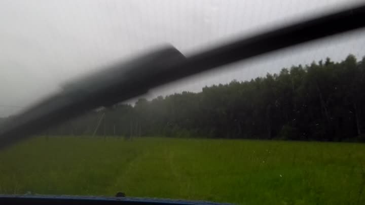 Проходимость степы, поле, дождь