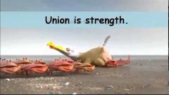 In union there is strength   فكر من جديد   في الإتحاد قوة