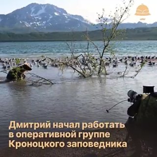 Потрясающие кадры дикой природы Камчатки