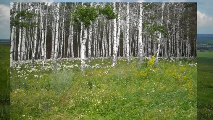 Поет  Дина Гарипова! (рус).