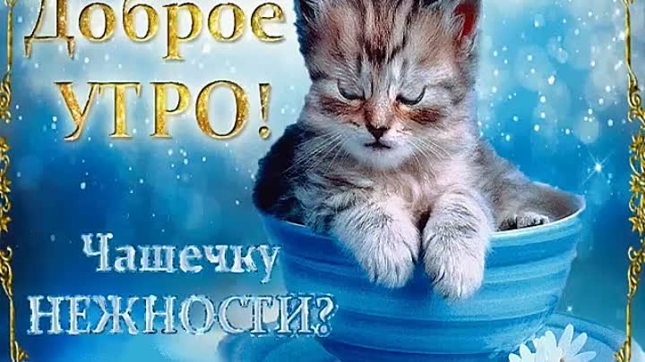 Музыкальные картинки с добрыми пожеланиями Музыкальные картинки с добрыми пожеланиями