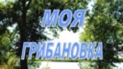 Моя Грибановка 3