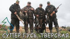 МНОГО ГУСЯ! Охота на гуся весной 2021 г. на поле Тверской об...