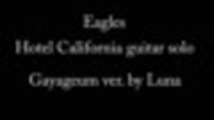 Eagles - Hotel California guitar solo part Gayageum cover.