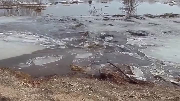 Шок! Всепоглощающая водяная воронка. Невероятное зрелище