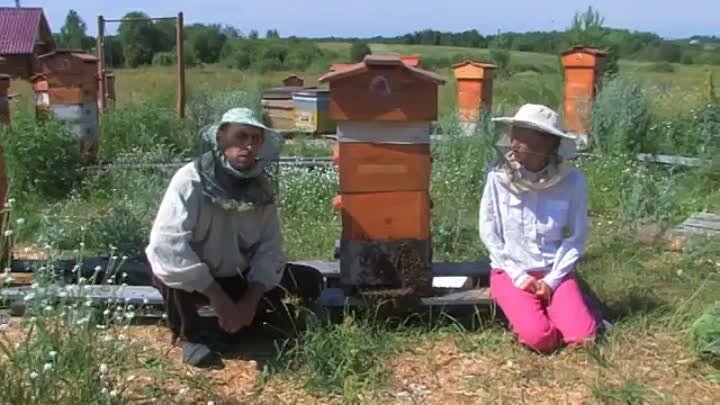Заводите, люди, пчёл! (анонс)