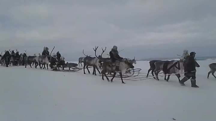 Оленек Якутия.  Проводы зимы