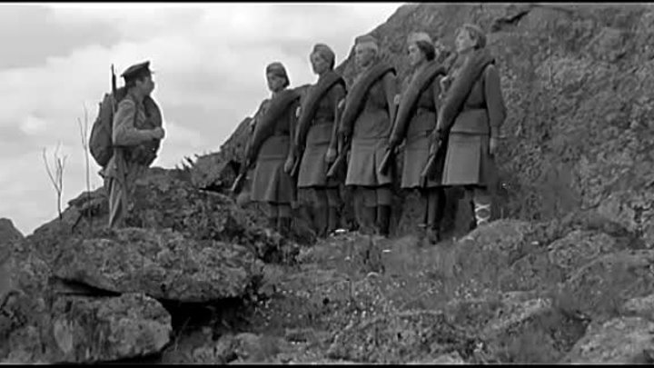 А зори здесь тихие кадры из фильма А зори здесь тихие кадры из фильма