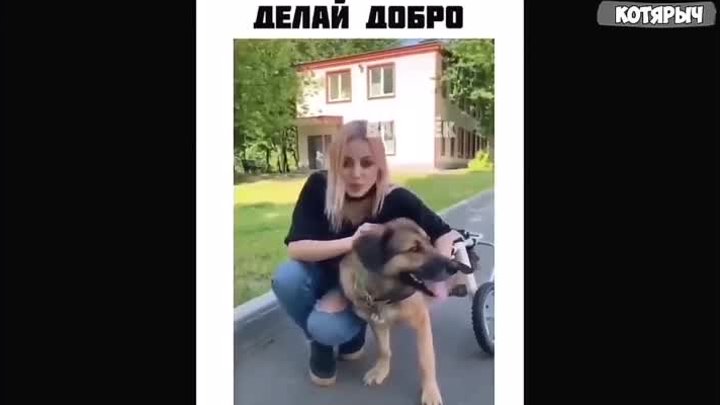 ПОПРОБУЙ НЕ ЗАСМЕЙСЯ!