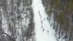 Открытое первенство Лузского района по лыжным гонкам на мара...