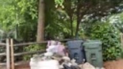 Junk Removal Atlanta | Junk Removal Marietta | Junk Pickup