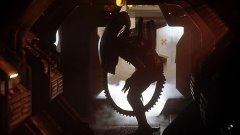 Как и где скачать игру ALIEN ISOLATION