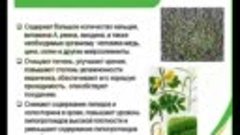 ОСНОВНЫЕ ПРЕИМУЩЕСТВА TIENS