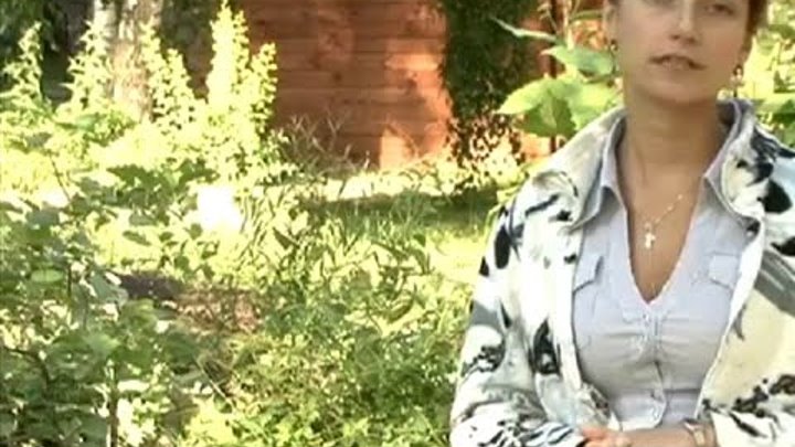 Анна калинина зеленая аптека фото Анна калинина зеленая аптека фото