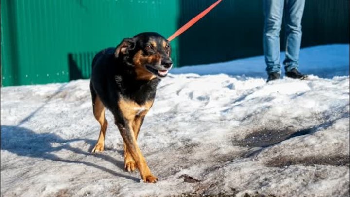 В самом расцвете сил!