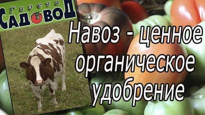 День навоза