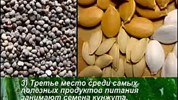 Самые полезные продукты в питании человека (SD)