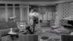 Dick Van Dyke S04E05 (The Man from &#39;Emperor&#39;)