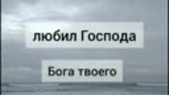 Сегодня я призываю в свидетели против вас небо и землю: я пр...