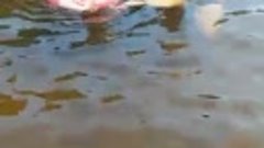 VID-20160809-WA0004.mp4