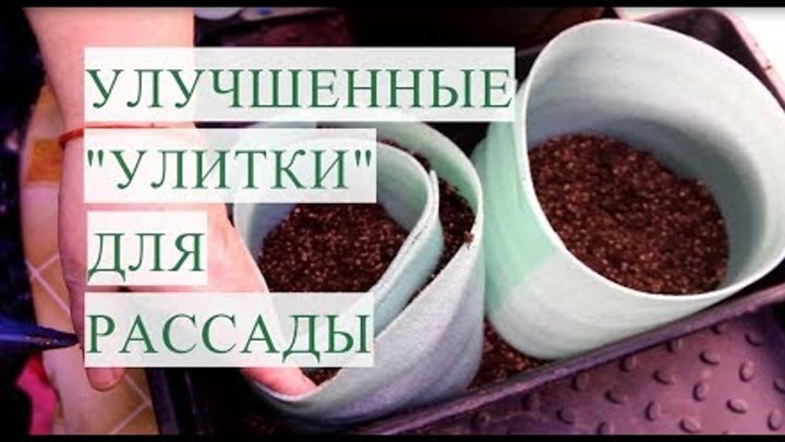 Как сделать улитку для посадки. Улитка для рассады. Улитка по новому для рассады. Посадка рассады в улитку. Новые улитки для рассады.