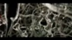 Dark Minimal Techno by Freedeep (Clip video).mp4