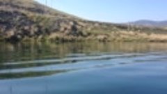 Гусиное озеро