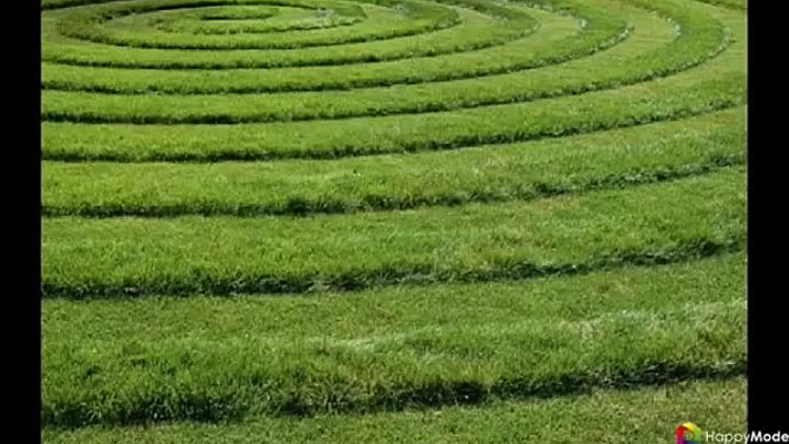 50 идей газона своими руками - как и когда сеять газонную траву