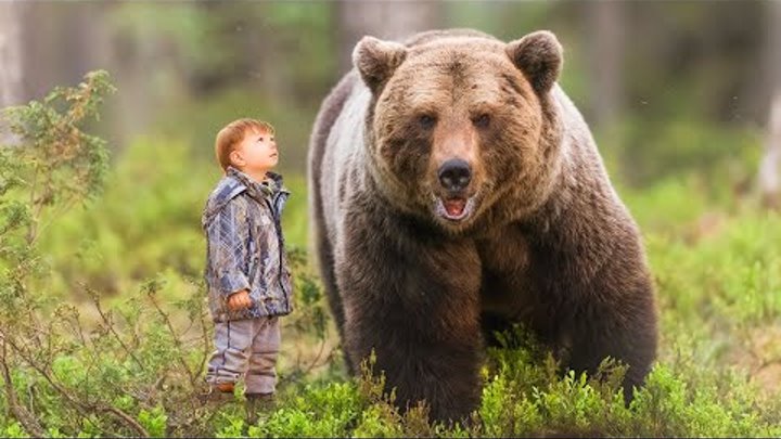 Медведь мальчик фото Медведь мальчик фото