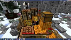 minecraft (Hunger games и Hide and Seek)