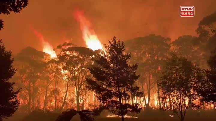 31看世界 (2020) 烈焰焚林 Австралийский лесной пожар