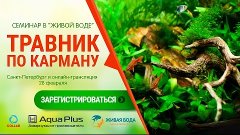 Вебинар &quot;Травник по карману&quot;