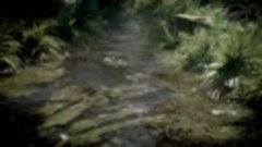 Crysis 3 - Первое видео (HD)