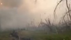 Огонь от лесных пожаров в Якутии подобрался к сёлам Харыялах...