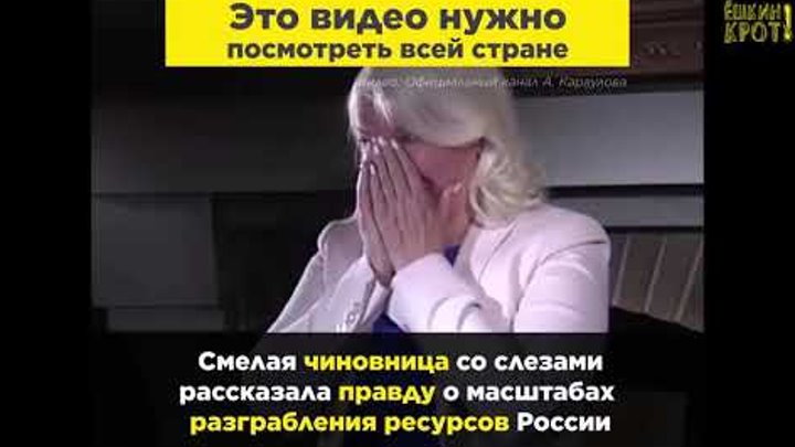 Красноярск текущие дни Чиновница рассказала о масштабах вывоза леса!!!!
