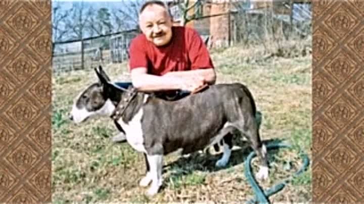 Михаил кононов с женой фото Михаил кононов с женой фото